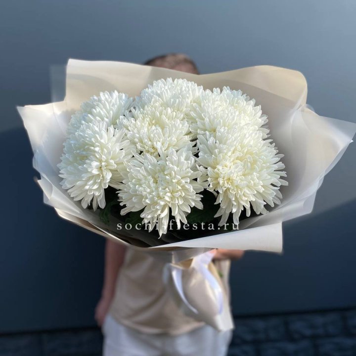 Профитроли в Архангельске