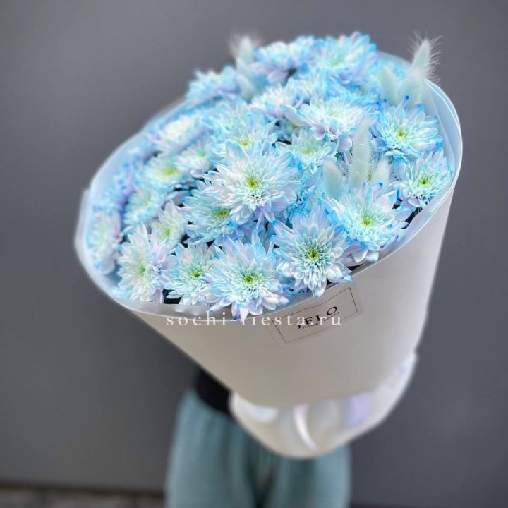  Букет нежно-голубых хризантем  в Архангельске
