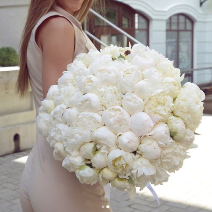 51 белый пион в Архангельске