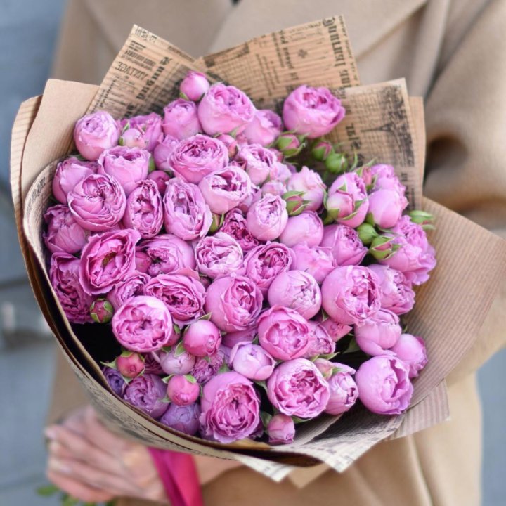 Роза Мисти Баблс в Архангельске