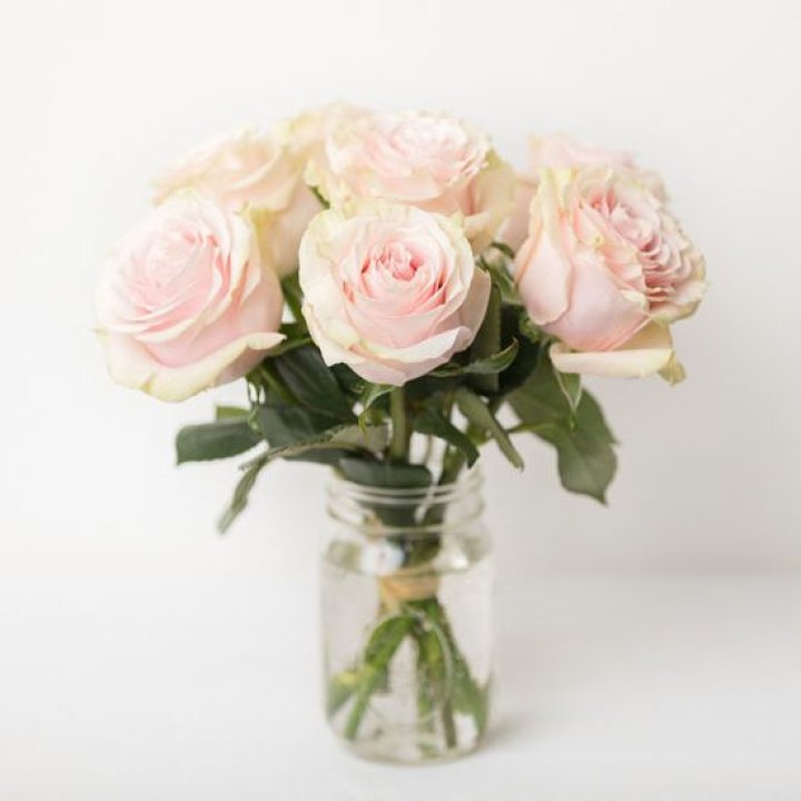 7 кремовых роз в Архангельске