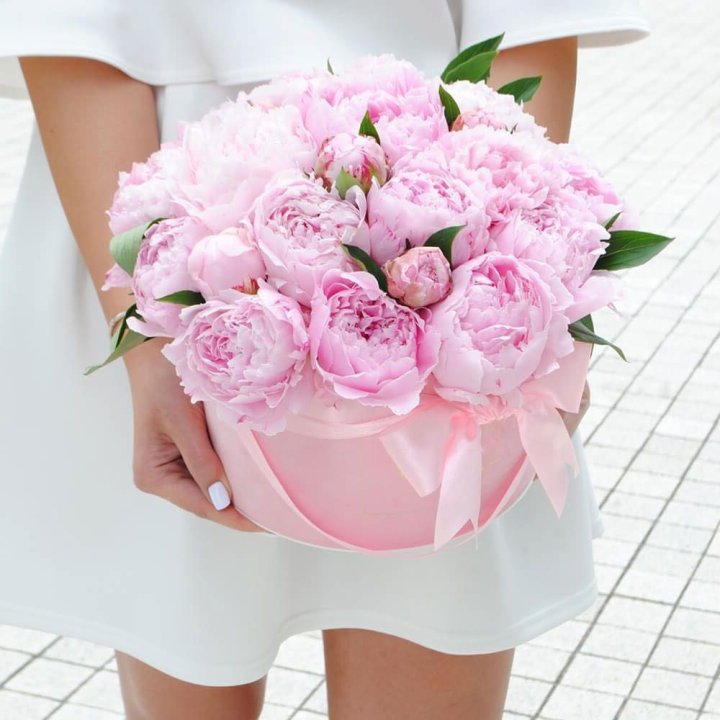 Пионы в шляпной коробке в Архангельске