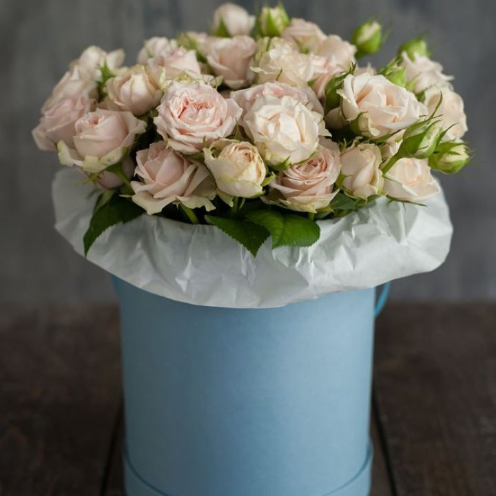 Бокс с бомбастиком в Архангельске