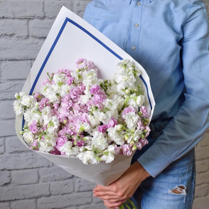 Маттиола в Архангельске