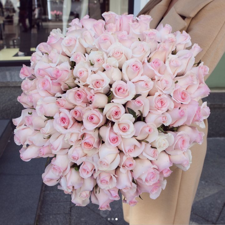 Розы "Пинк бум" в Архангельске