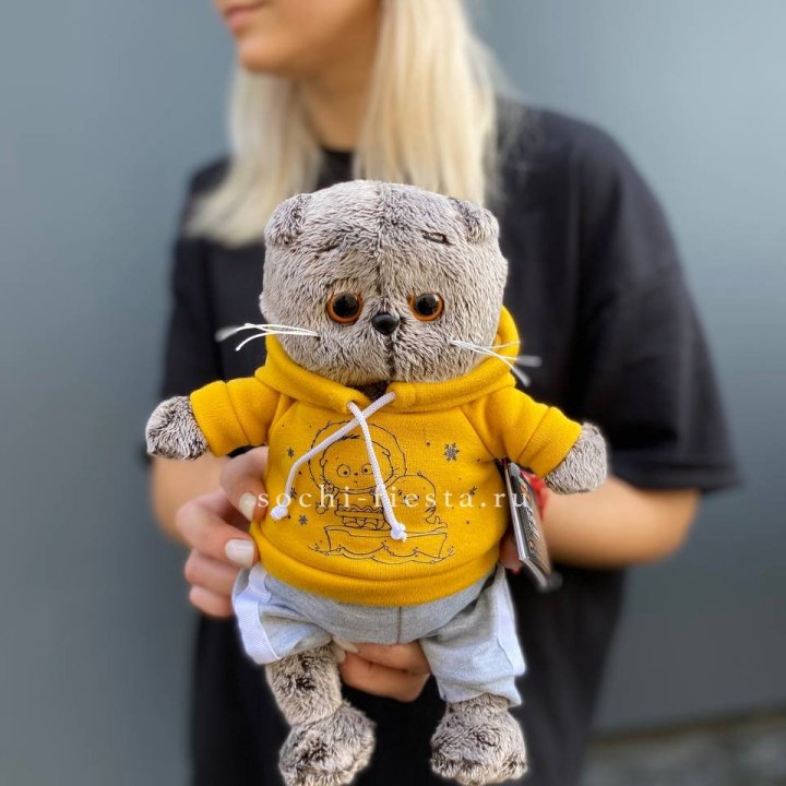 Кот Басик в худи в Архангельске