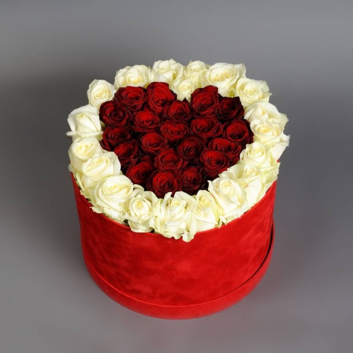 39 красных и белых роз в цилиндре в Архангельске
