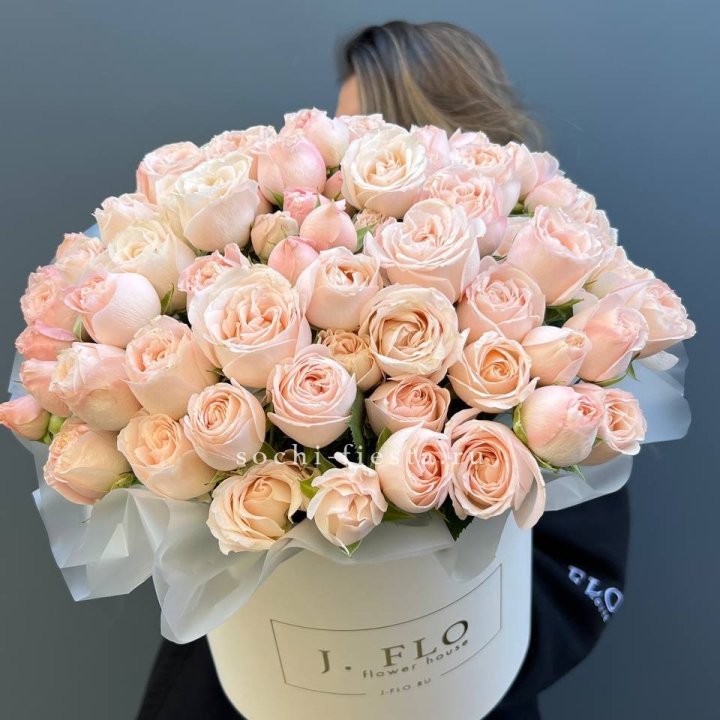 Бомбастик бокс Премьер в Архангельске