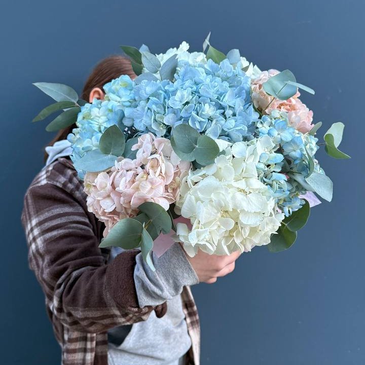 Гортензии в коробочке в Архангельске