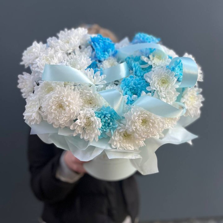 Хризнтемы в боксе в Архангельске