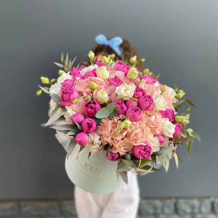 Бокс "Агата мисти" в Архангельске