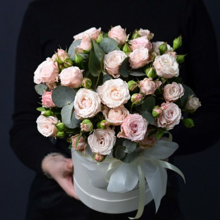 Бомбастик бокс №2 в Архангельске