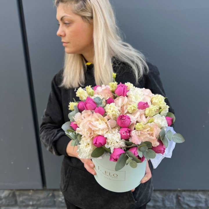 Сборный бокс премьер в Архангельске