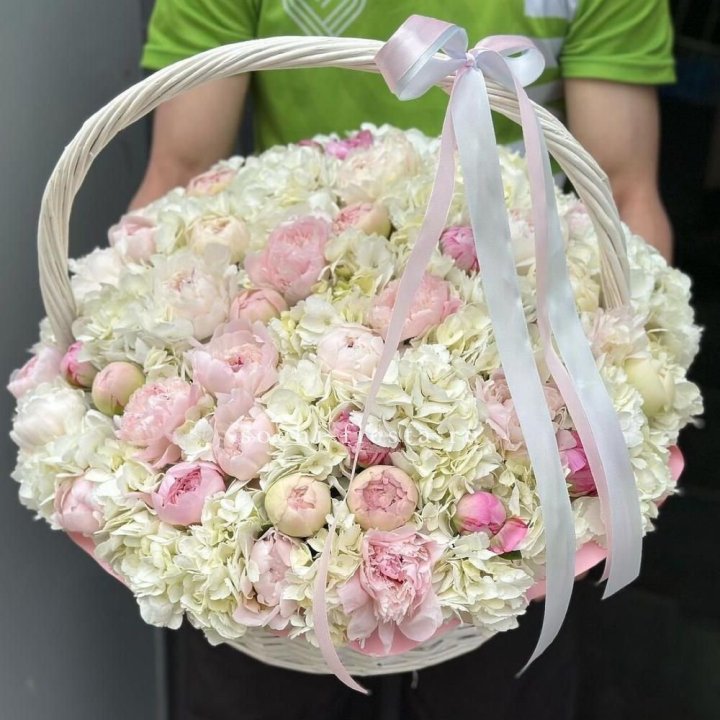 Премиум корзина гортензий и пионов в Архангельске