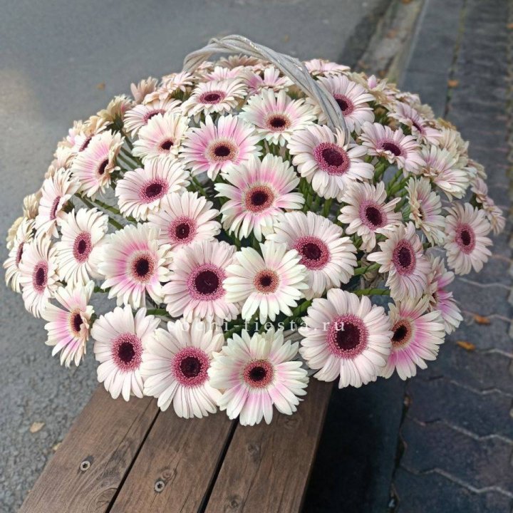 Корзина с герберами  в Архангельске
