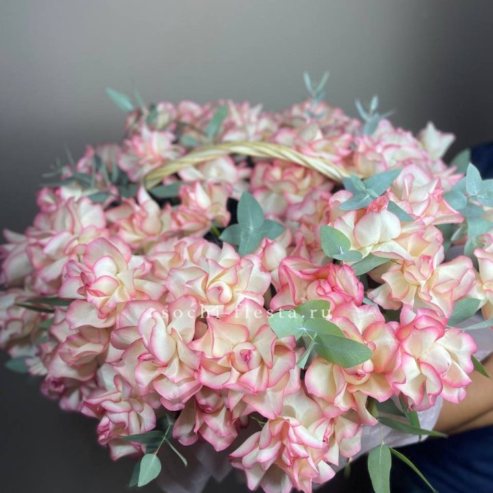 51 джумилия  в корзине   в Архангельске