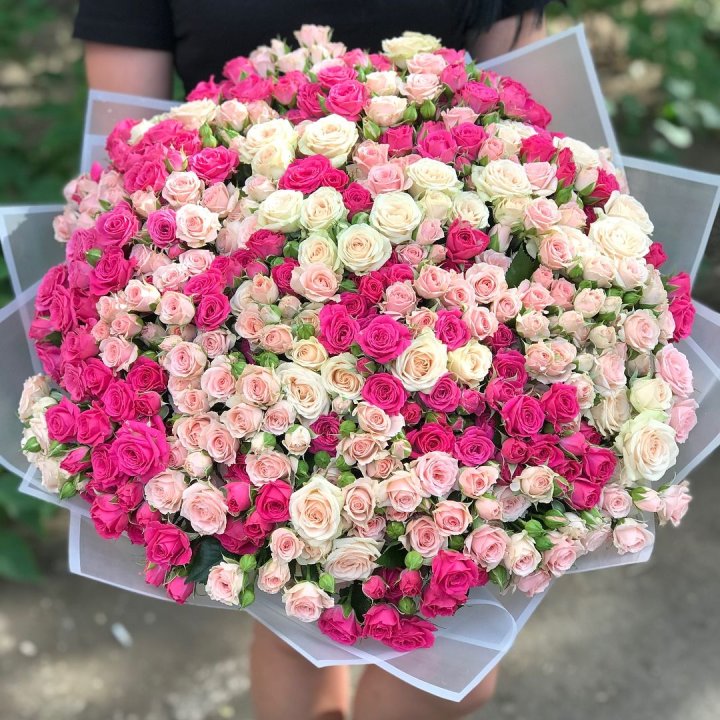 101 кустовая роза в Архангельске