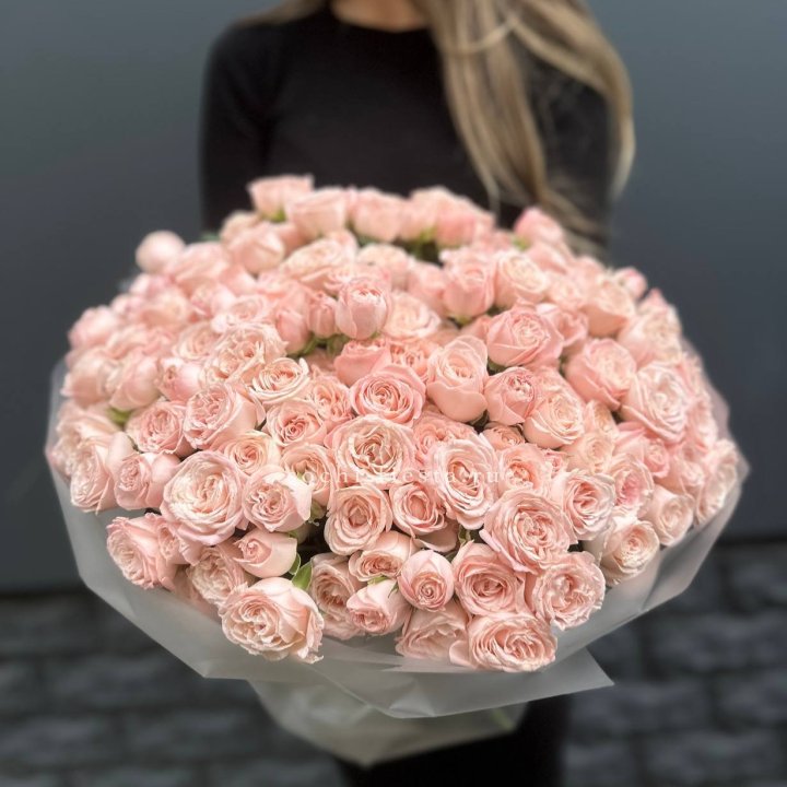 51 кустовая роза Бомбастик в Архангельске