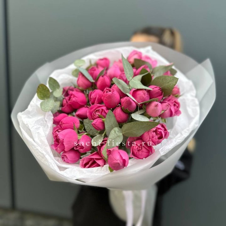 17 Мисти бабблс в Архангельске