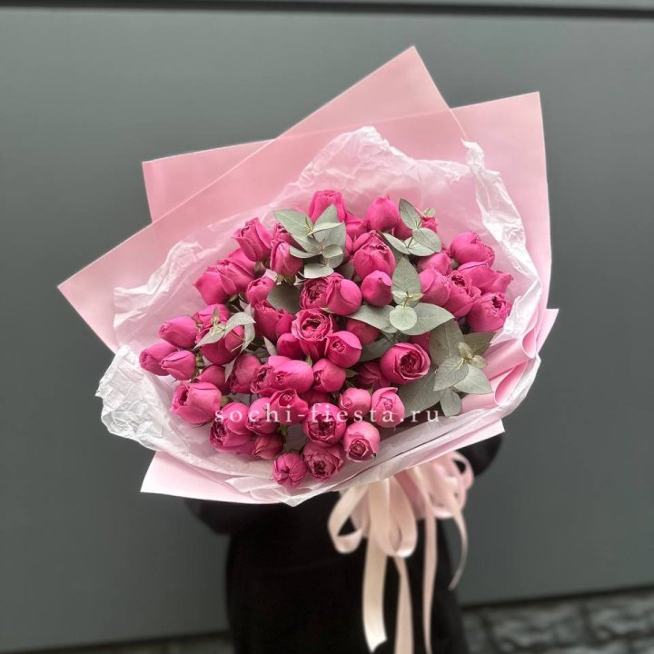 25 Мисти бабблс в Архангельске