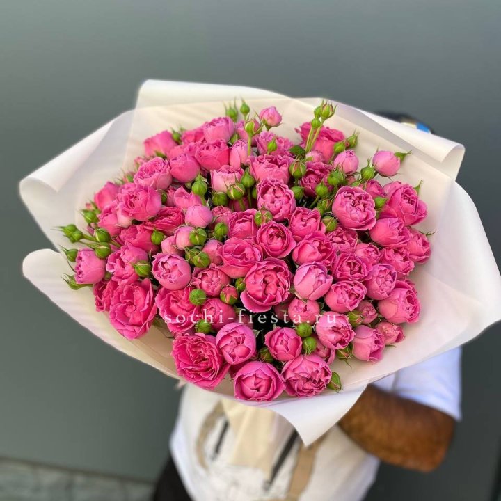 Мисти Баблс 35шт в Архангельске