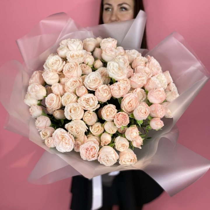 Carina в Архангельске