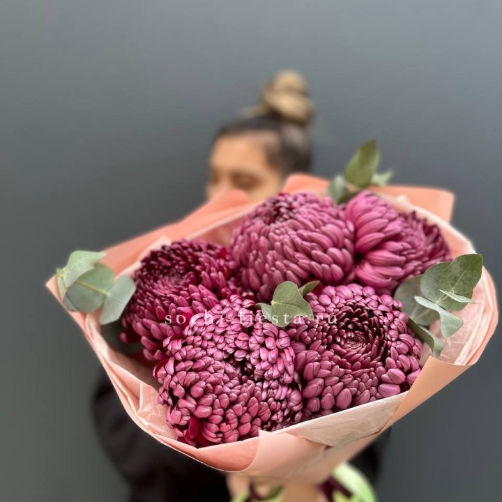 Хризантемы  Бигуди  в Архангельске