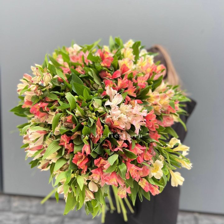 51 альстромерия в Архангельске