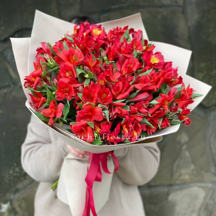 51 альстромерия в Архангельске