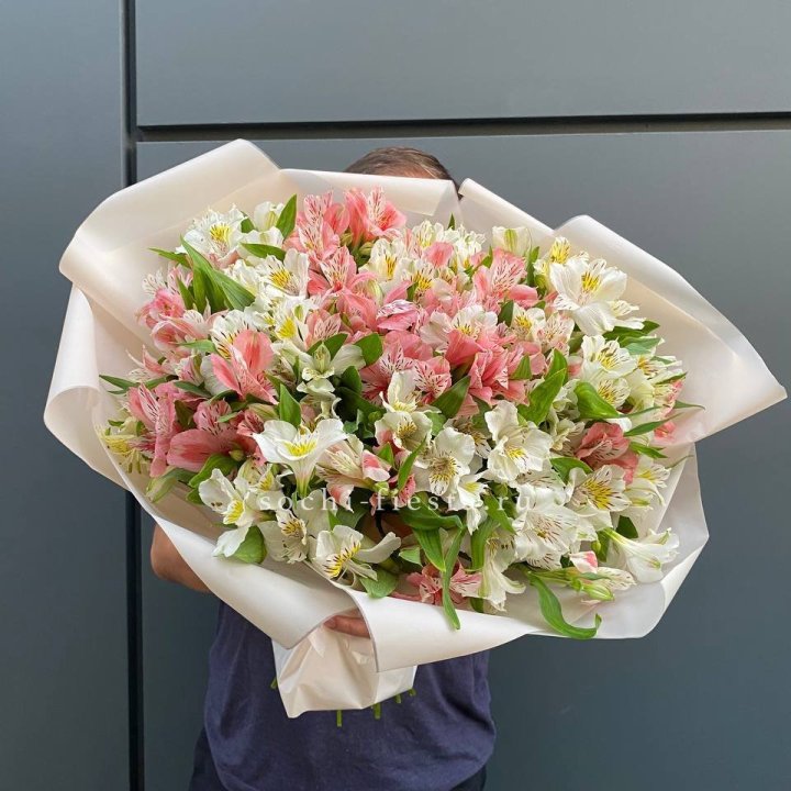 39 альстромерий в Архангельске