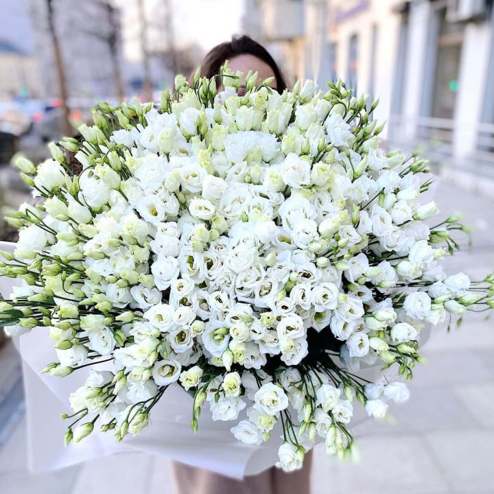 101 белая эустома в Архангельске