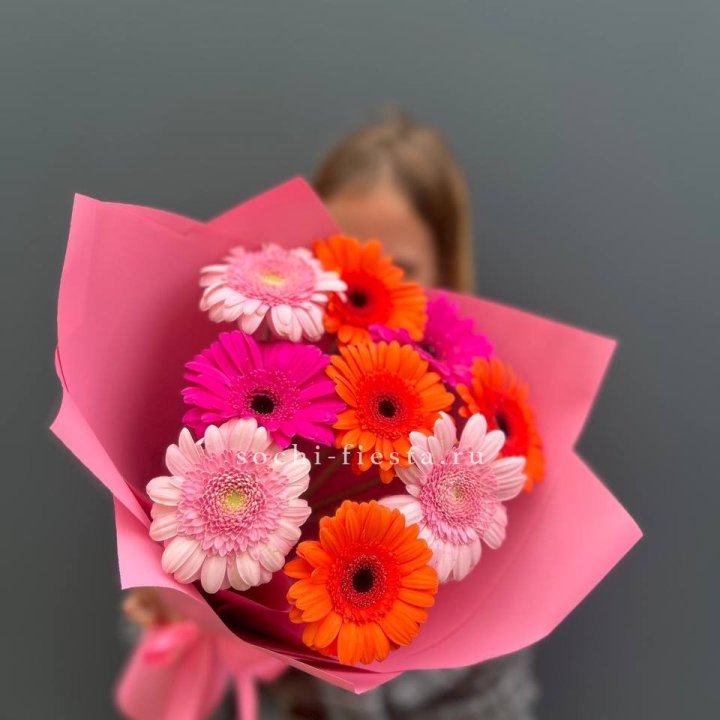 Краски в Архангельске