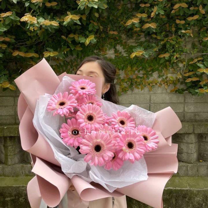 13 розовых гербер в Архангельске