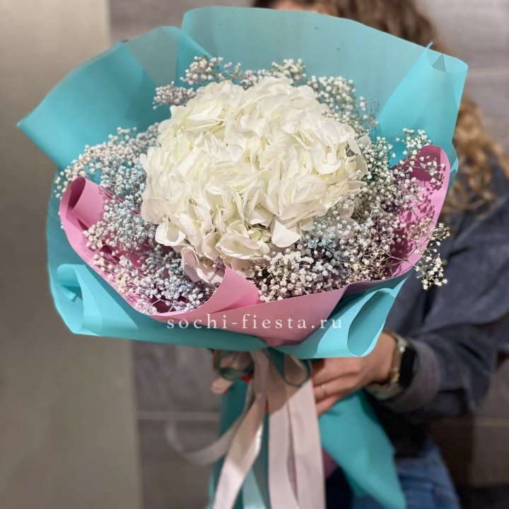 Гортензия "Райдов" в Архангельске