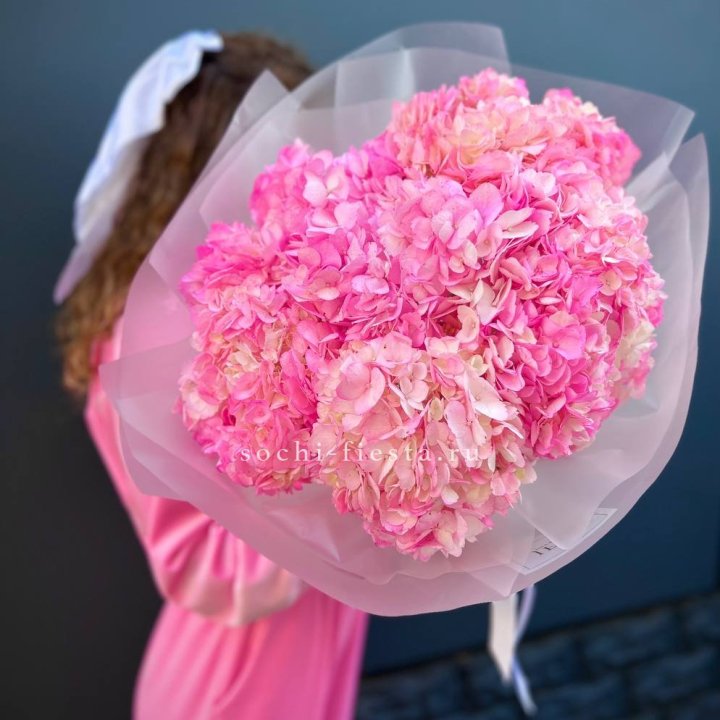 7 ярко розовых гортензий в Архангельске