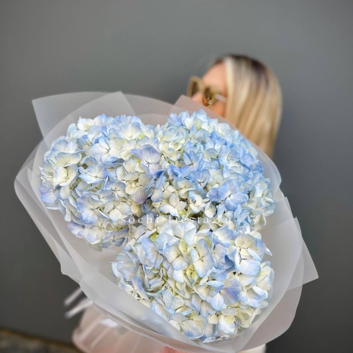 Букет из 3 голубых гортензий  в Архангельске