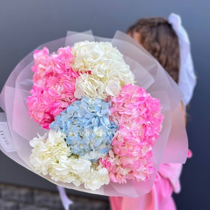 7 гортензий микс в Архангельске