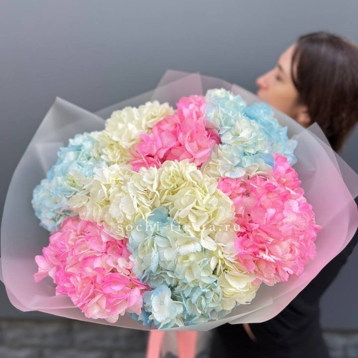 9 гортензий микс в Архангельске