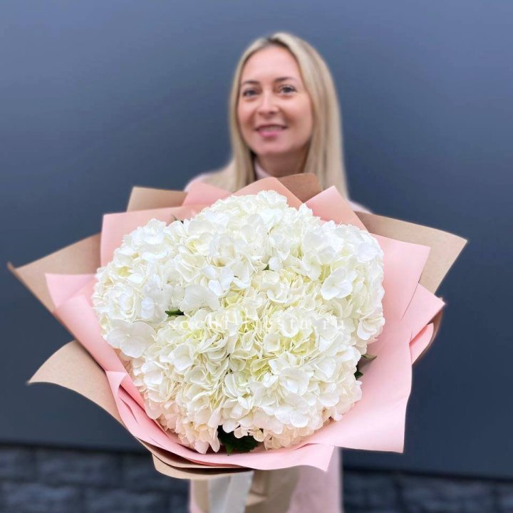 Гортензия белая в Архангельске