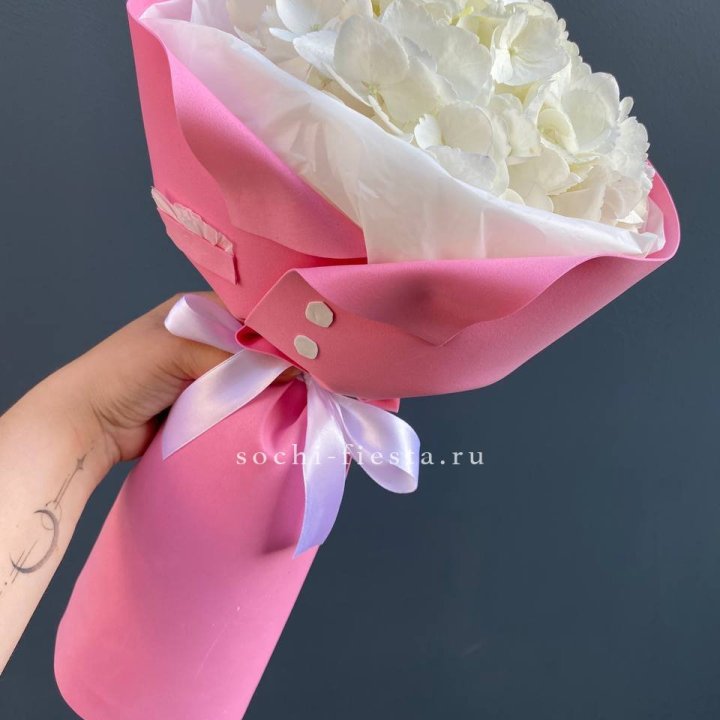 Гортензия в розовом пиджаке в Архангельске