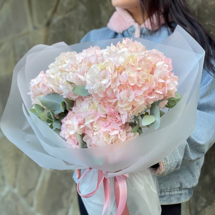 5 розовых гортензий в Архангельске