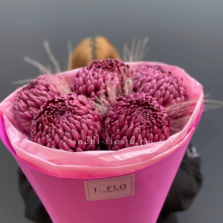 Хризантемы  Бигуди с стифой в Архангельске