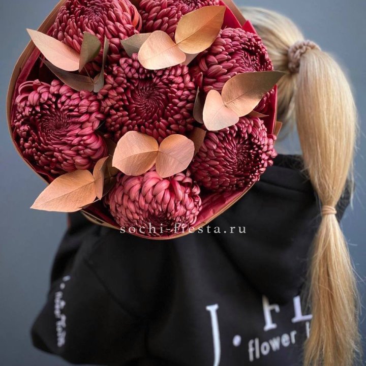 Хризантемы "Голд шоколад" в Архангельске