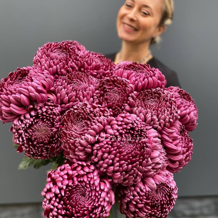 Охапка хризантем Бигуди в Архангельске