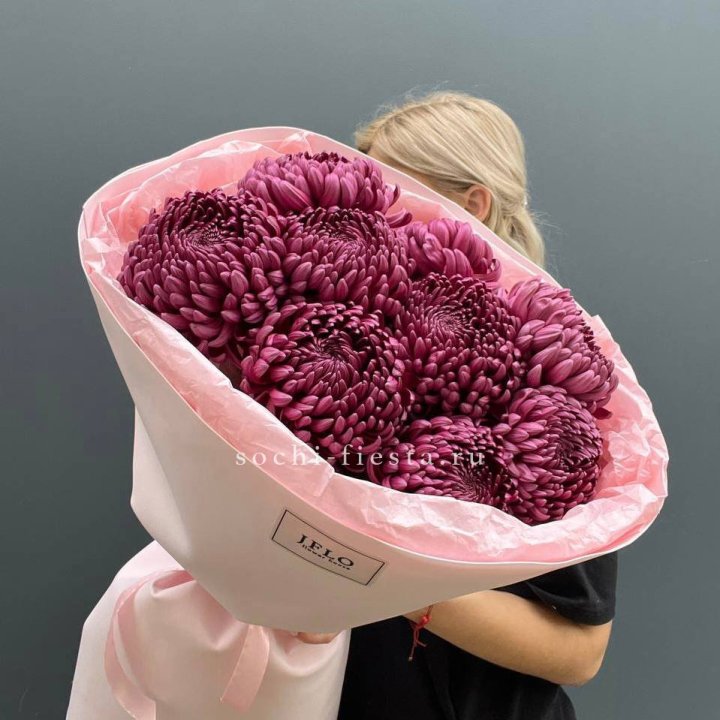 9 хризантем бигуди в Архангельске