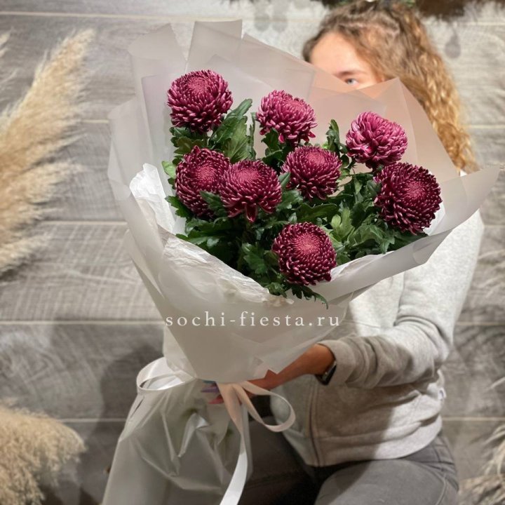 Хризантемы Бигуди в Архангельске