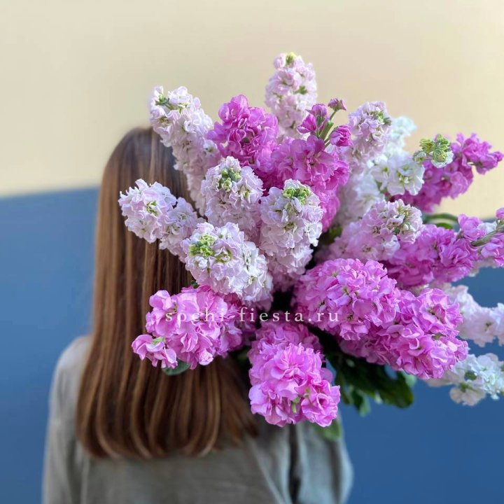 Охапка маттиолы в Архангельске