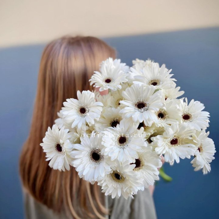 Охапка гербер в Архангельске