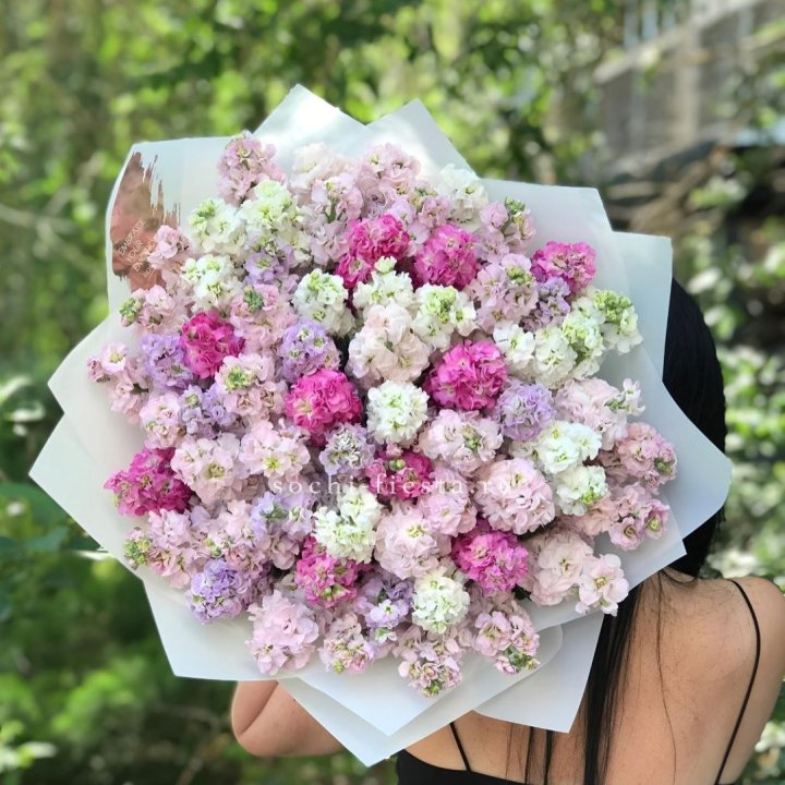 Букет ароматной маттиоллы №3 в Архангельске