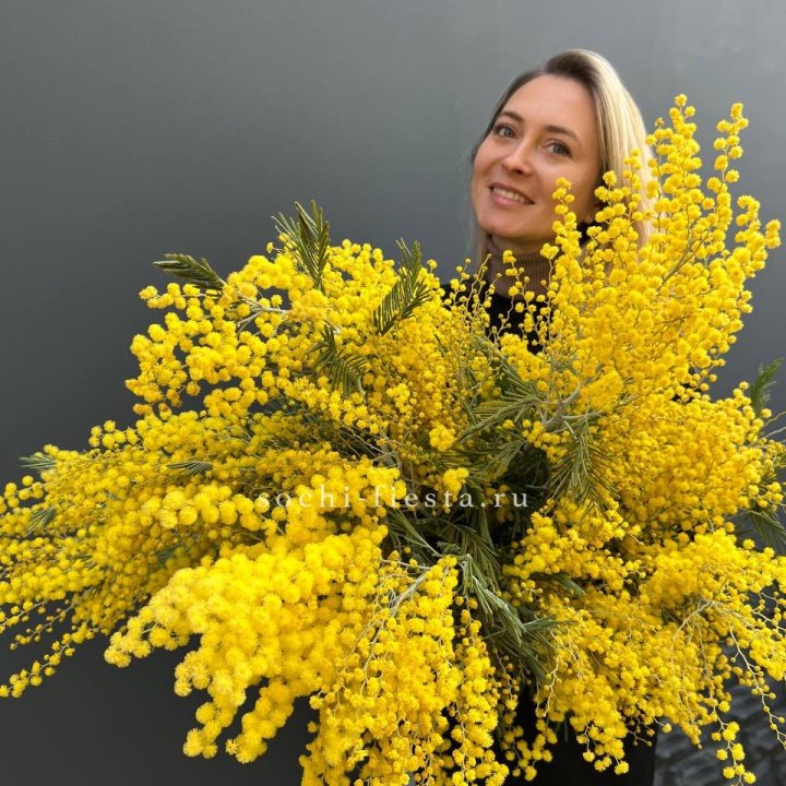 Охапка мимозы №2 в Архангельске